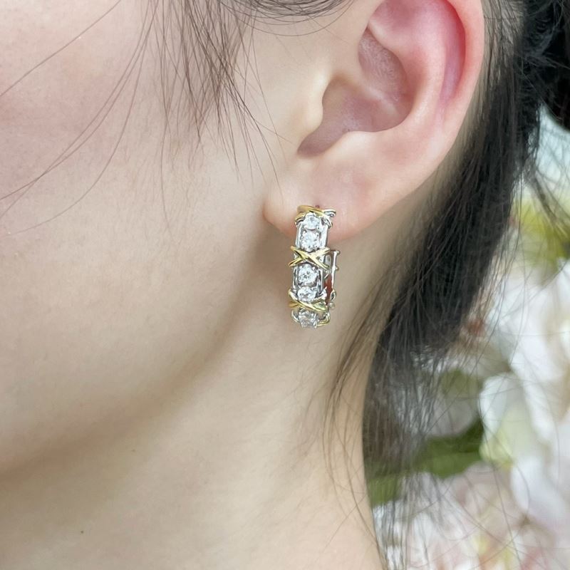 T*f*ny earrings